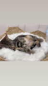 onlyway2liv Altpins Profile Picture