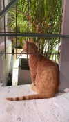 babynympho_archive Altpins Profile Picture