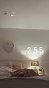 olivia.bolgerr Altpins Profile Picture