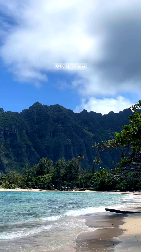 maori_cohen archive video preview