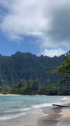 maori_cohen Altpins Profile Picture