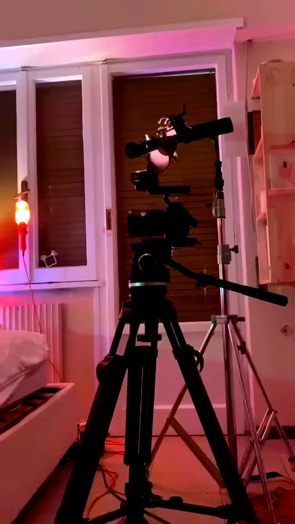 fuckinncutee archive video preview