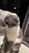 275.cn Altpins Profile Picture