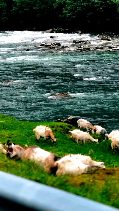 taylor.creeden taylor.creeden archive video