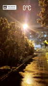 marijana_t__ Altpins Profile Picture