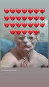 babynympho_archive Altpins Profile Picture