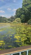 sonia_litvanchuk Altpins Profile Picture
