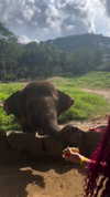 _mashachka_ Altpins Profile Picture
