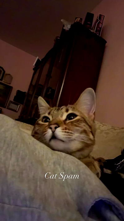 laurinchhhe laurinchhhe archive video