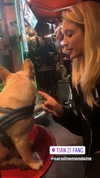 nikoleta.milenova Altpins Profile Picture