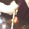 erokochiba Altpins Profile Picture