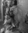 xtina Altpins Profile Picture