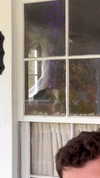 elizabethcampbelljones Altpins Profile Picture