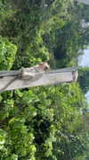 m1ry2m_ Altpins Profile Picture