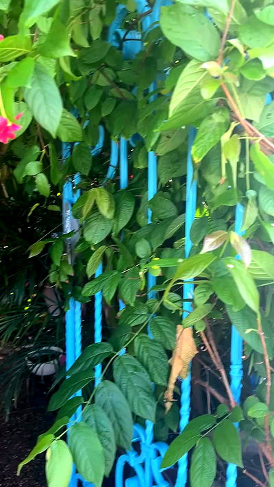 feelbetterinmysweater feelbetterinmysweater archive video