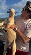 famous_wu24 Altpins Profile Picture
