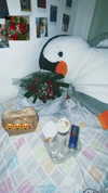 elviksi_07 Altpins Profile Picture