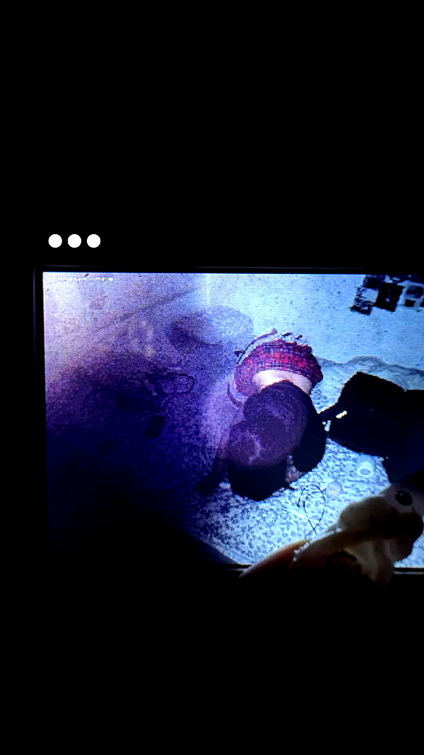 hellokittyangel666 archive video preview
