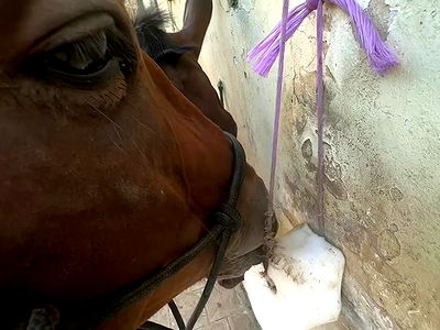 manjolamuriqi manjolamuriqi archive video