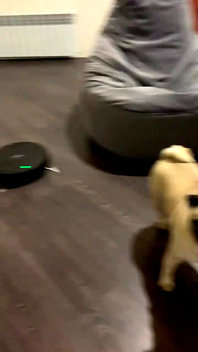 nyityam nyityam archive video