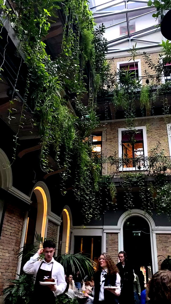 talia_davidov archive video preview