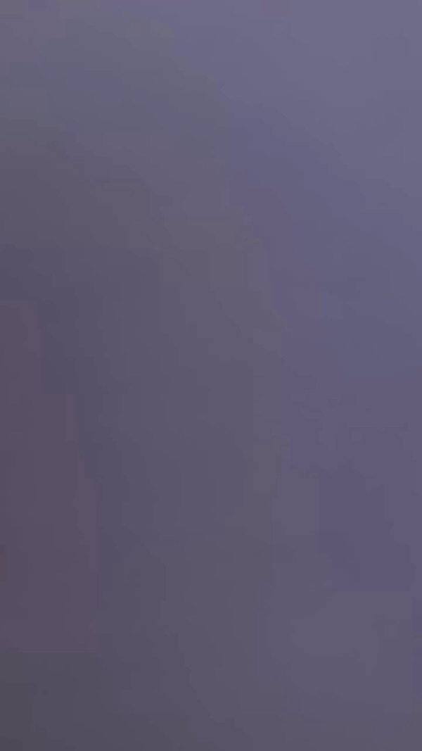 protheme archive video preview