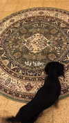 libby_reut Altpins Profile Picture