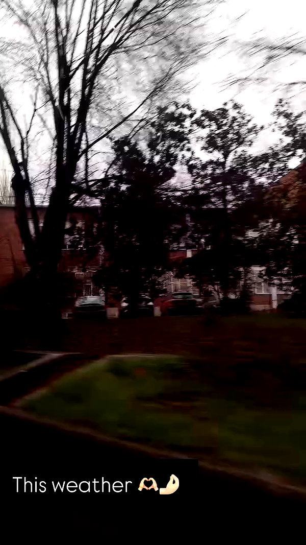 ruth_chavarri archive video preview