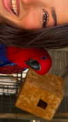 efrat_elmalich Altpins Profile Picture