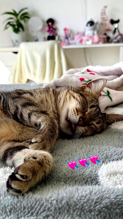 shunli__mei shunli__mei archive video