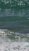 efrat_elmalich Altpins Profile Picture