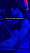 swholeanimal Altpins Profile Picture