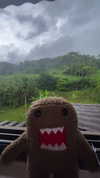 lolontlia Altpins Profile Picture