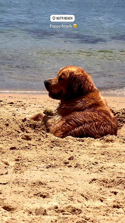 taylor.creeden taylor.creeden archive video