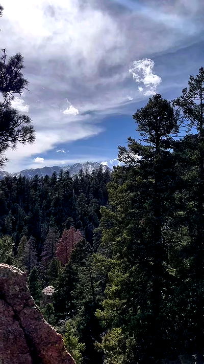 thelizzyporter thelizzyporter archive video