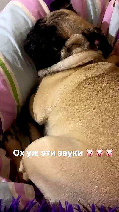 nyityam nyityam archive video