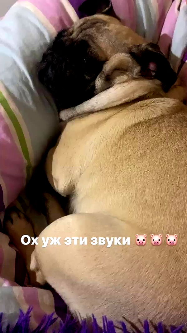 nyityam archive video preview