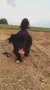 evasela__ Altpins Profile Picture