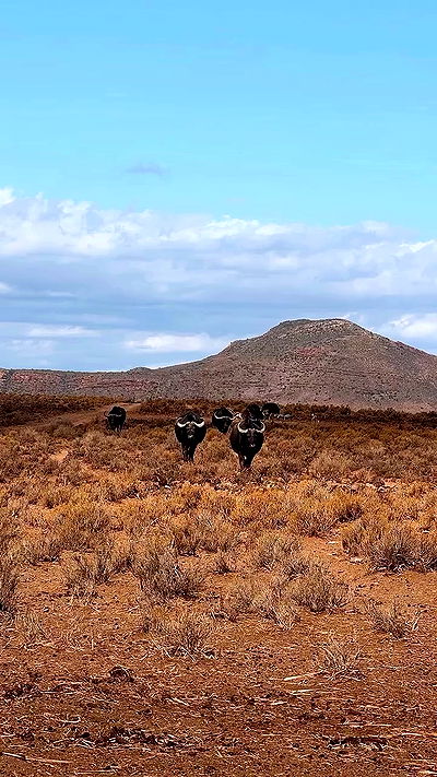 taylor.creeden taylor.creeden archive video