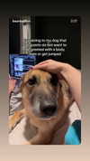 emily_new2 Altpins Profile Picture