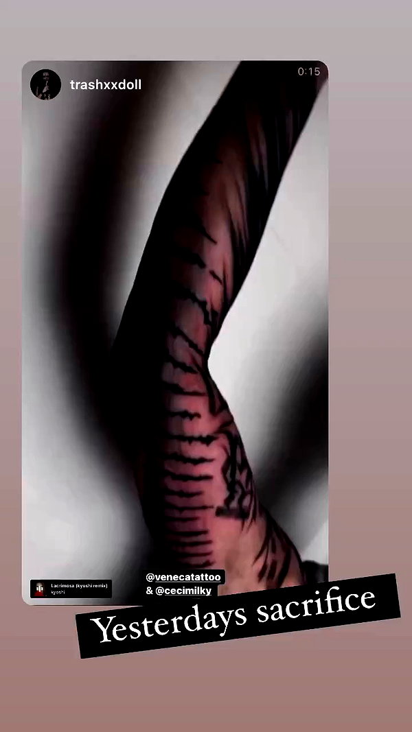 venecatattoo archive video preview