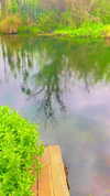 aleiisha.piixiie Altpins Profile Picture