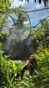 gritsa.k Altpins Profile Picture