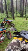 gritsa.k Altpins Profile Picture