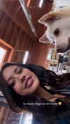 leonanaomii Altpins Profile Picture