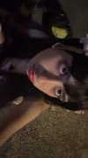 eva.6stuma.com6 Altpins Profile Picture