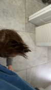 nicollefigueroaa Altpins Profile Picture