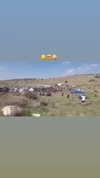 _lironatias Altpins Profile Picture