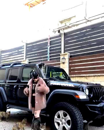 strawberryshanz strawberryshanz archive video