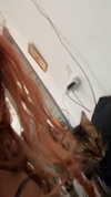 ronyida_ Altpins Profile Picture